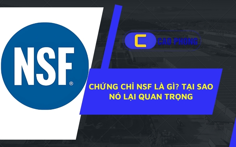 Sản phẩm của bạn đã đạt chứng nhận chưa? Tìm hiểu ngay chứng chỉ NSF là gì? để hiểu rõ hơn về giá trị mà nó mang lại.
