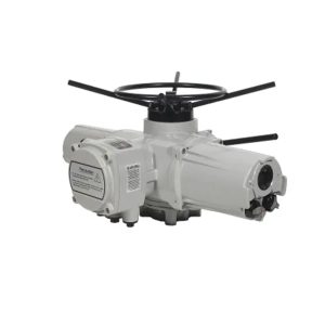 ELECTRIC MULTI-TURN ACTUATOR