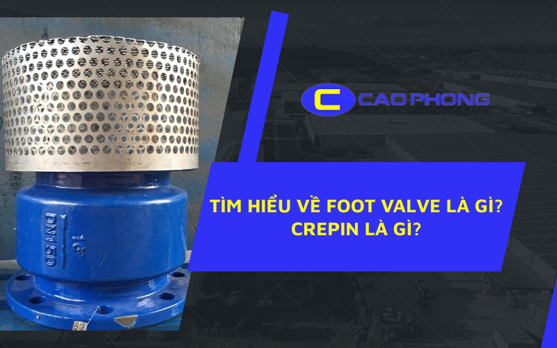 Cùng xem foot valve là gì và vai trò quan trọng của nó trong việc ngăn dòng chảy ngược