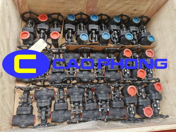 van-cong-han-kvc van-cong-han-kvc