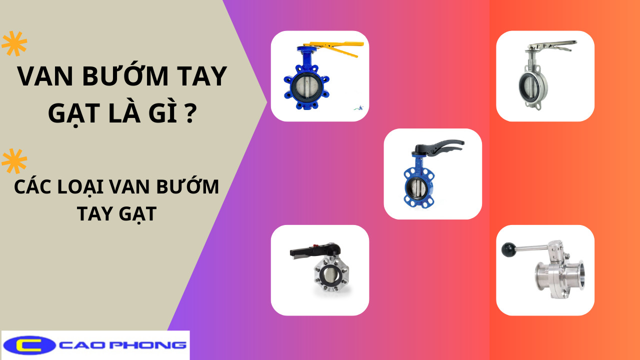 cac-loai-van-buom-tay-gat(1)png