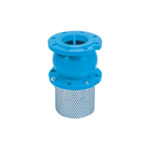 Rọ hút ARV Model FCV giúp bảo vệ máy bơm khỏi cặn bẩn và rác thải hiệu quả