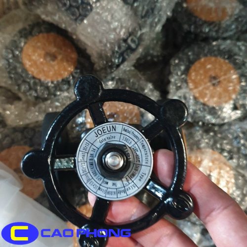 van-cong-thep-han-Joeun.COM.VN (75)