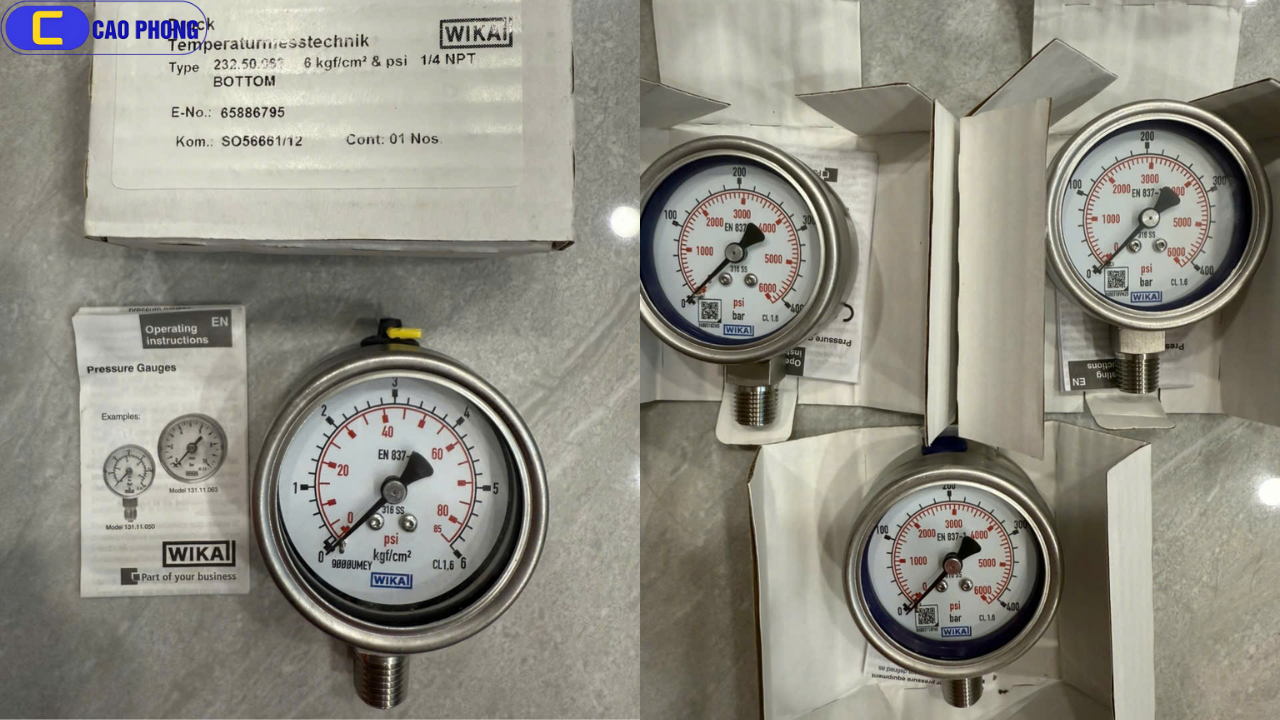 Giải pháp đo áp lực hiệu quả với Đồng hồ đo áp suất WIKA 232.50.63 bottom 0 6 bar psi