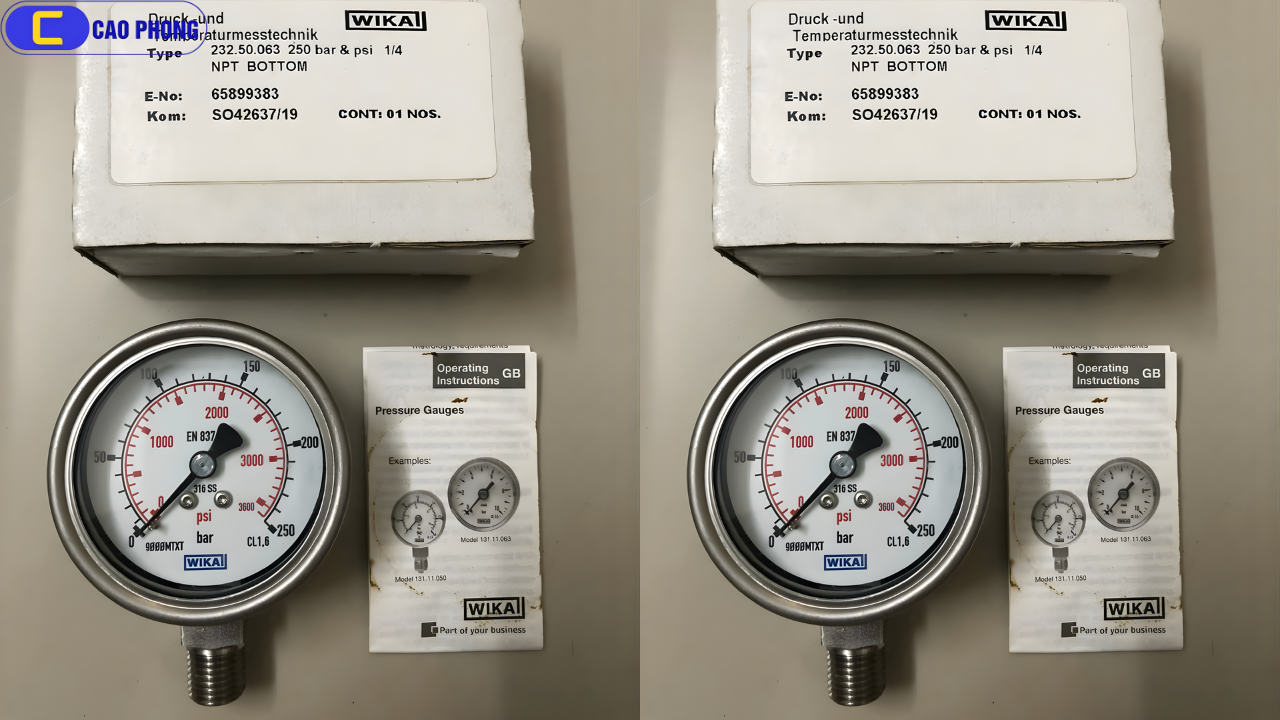 Độ ổn định vượt trội từ Đồng hồ đo áp suất WIKA 232.50.63 bottom 0 - 250 bar psi