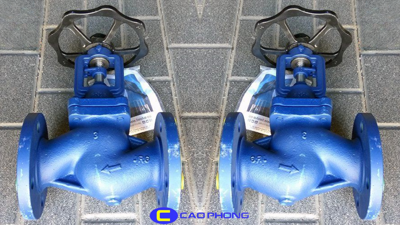 Van Cầu Gang BELLOW SEAD-BV25061 là giải pháp chống rò rỉ an toàn tuyệt đối