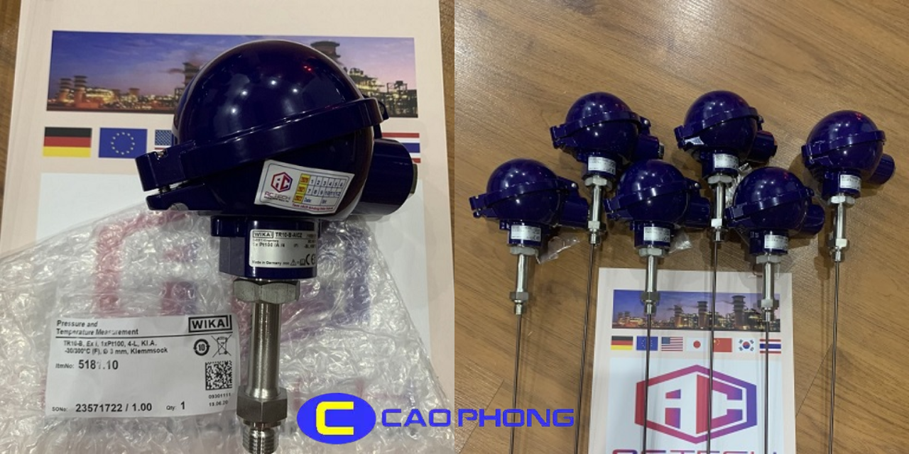 cam-bien-nhiet-tr10-wika-tr10-b-tr12-b