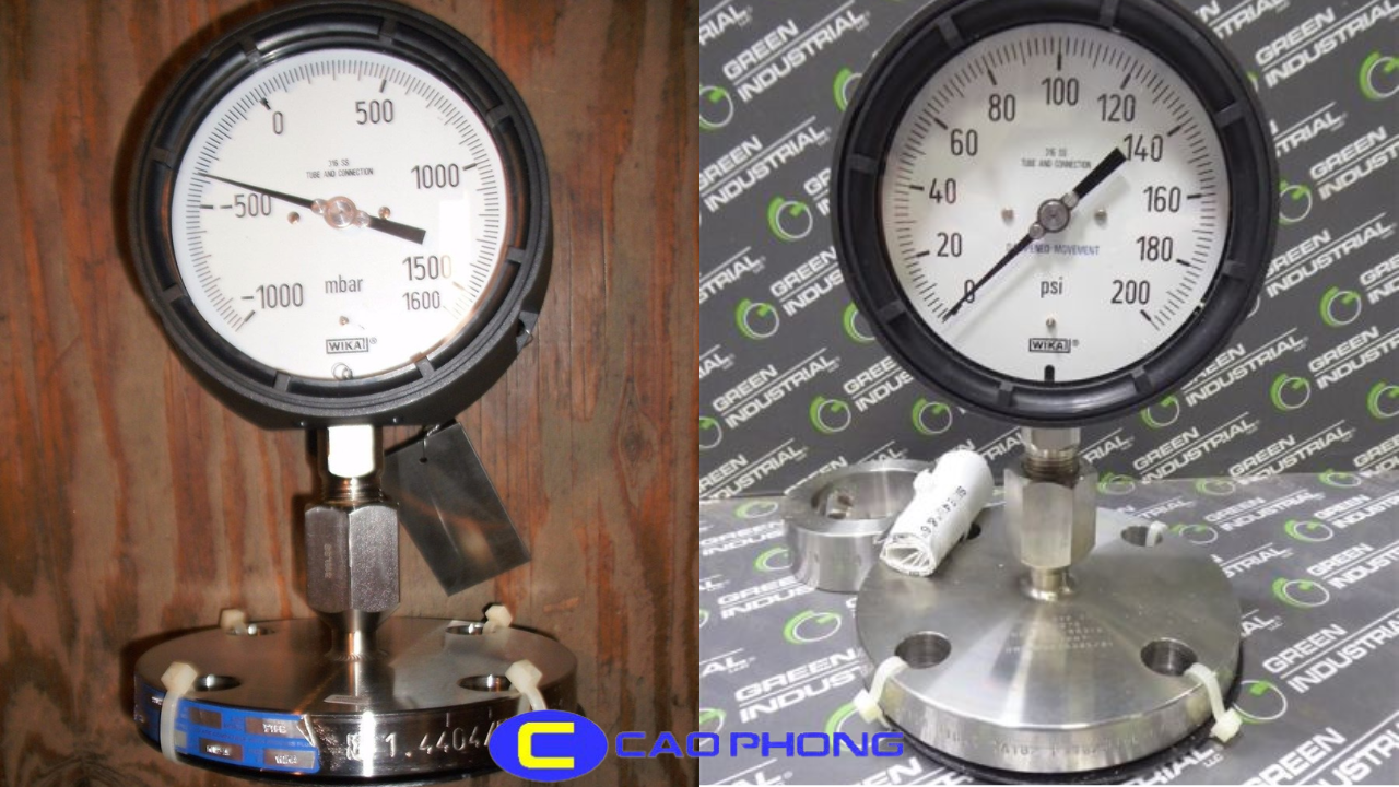 dong-ho-do-ap-suat-dang-mang-wika-990-27