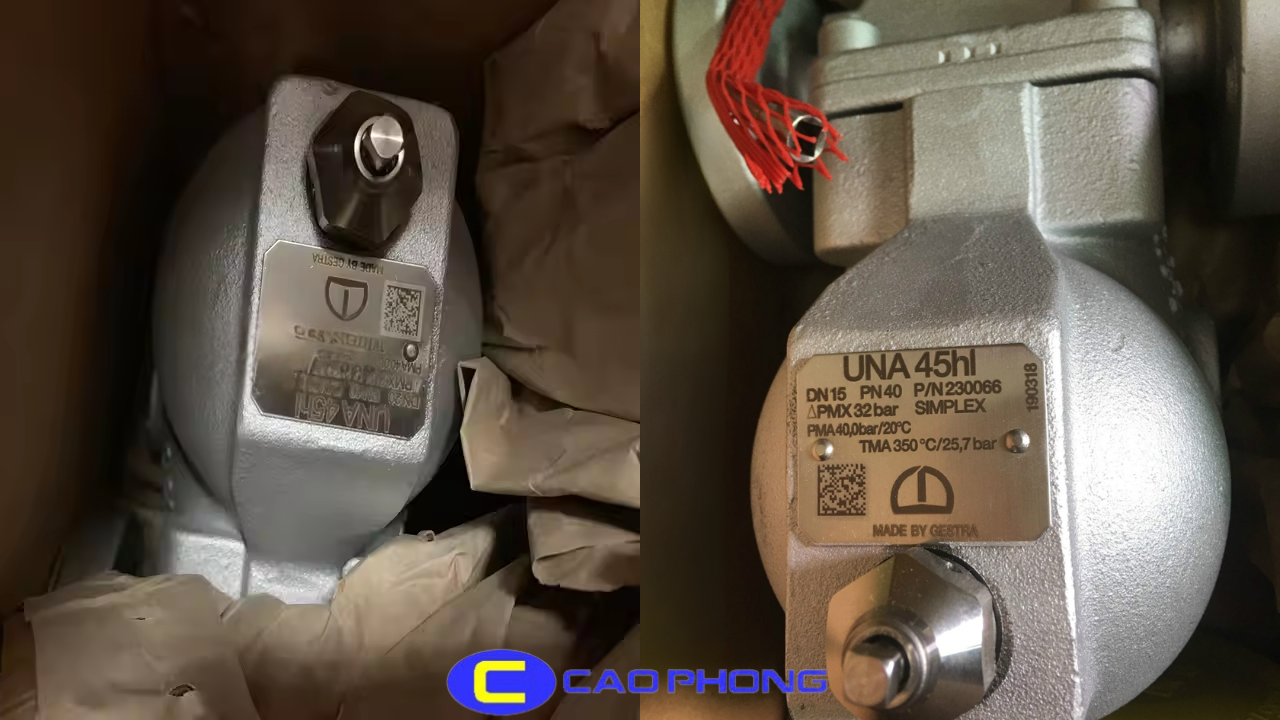 bay-hoi-gestra-una-45hl