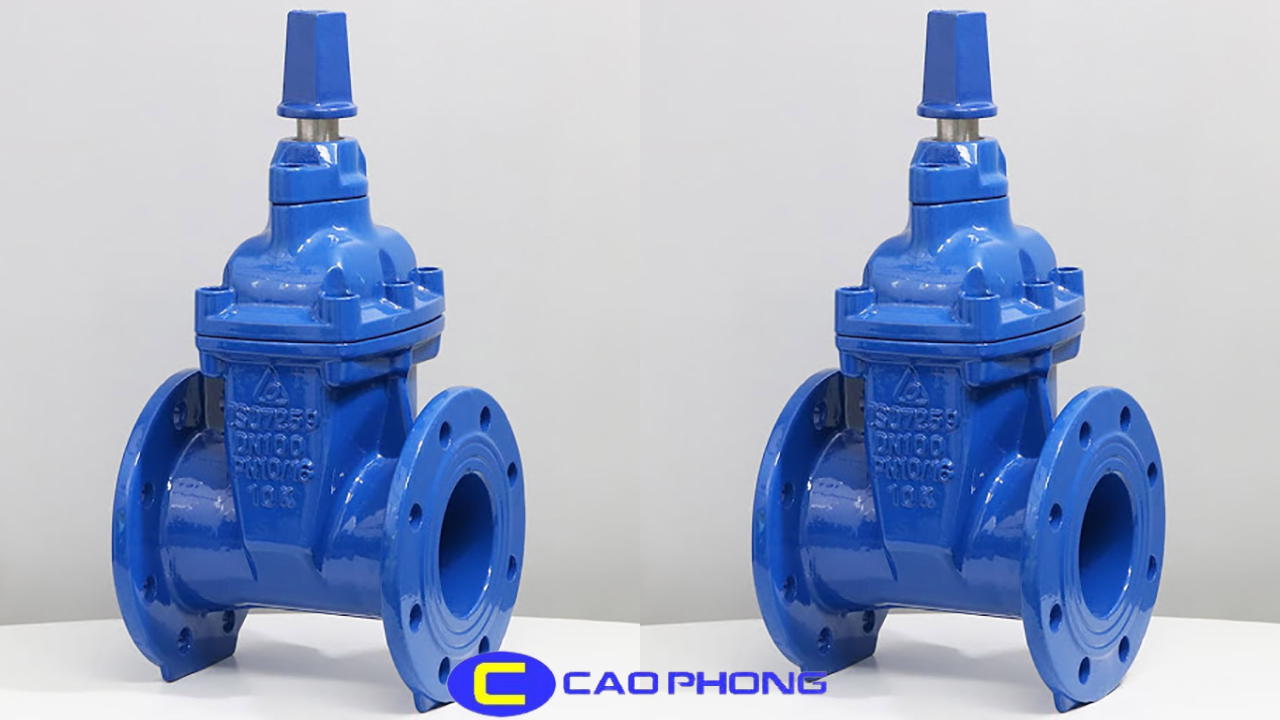 van-cua-nap-chup-canh-cao-su-ydk