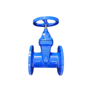 Van Cổng Gang DN100 (Phi 110) Samwoo