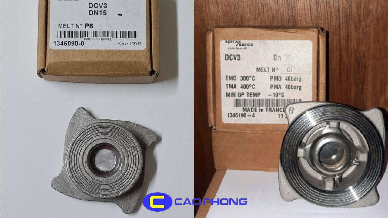 van-mot-chieu-dia-spirax-sarco-dcv3