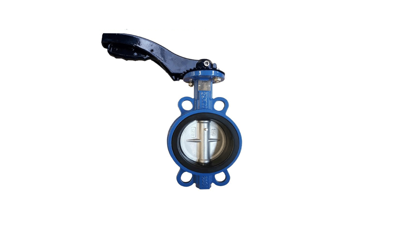 Hình ảnh chi tiết van bướm gang tay gạt DN80 seat NBR