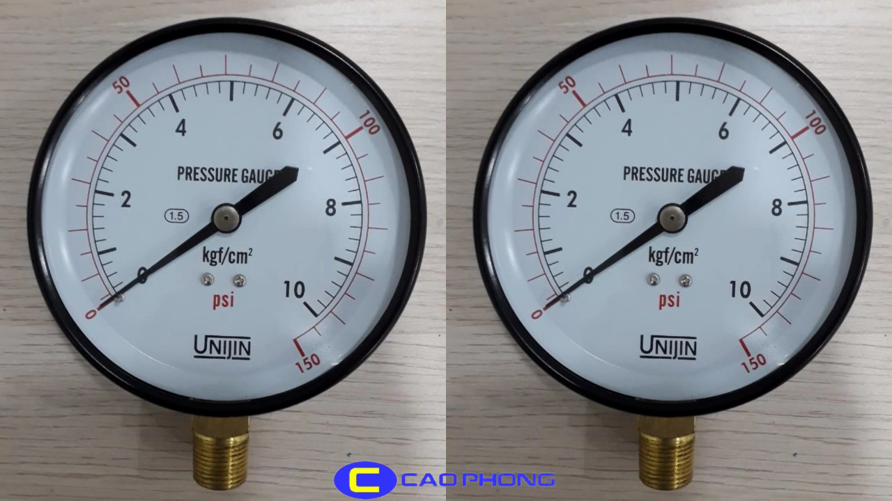 dong-ho-do-ap-suat-chan-dung-p110a