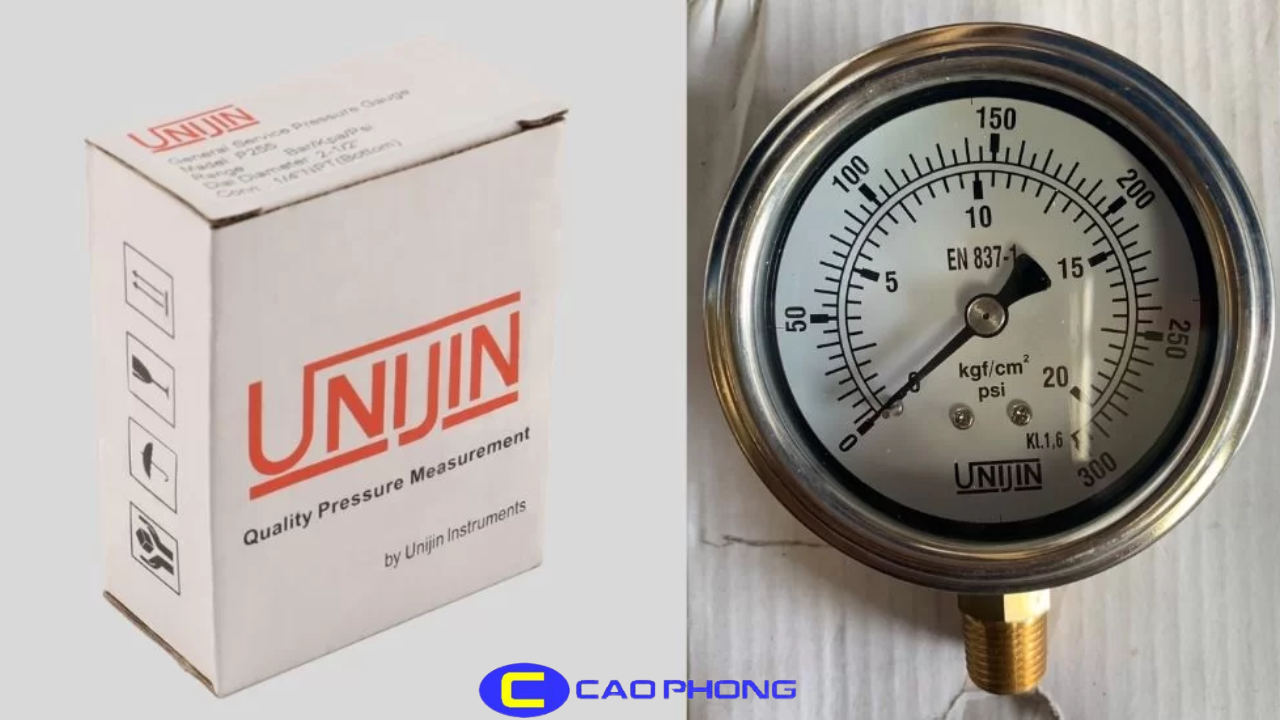 dong-ho-do-ap-suat-chan-dung-p250