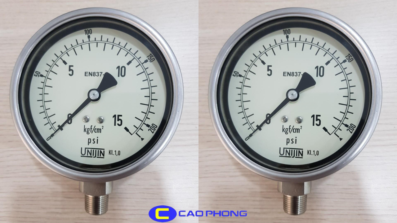 dong-ho-ap-suat-chan-dung-p252
